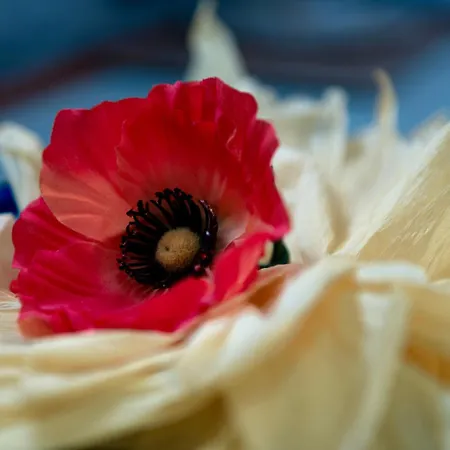 Santa Maria Relax - Appartement Nardò